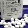 buy oxycodone online